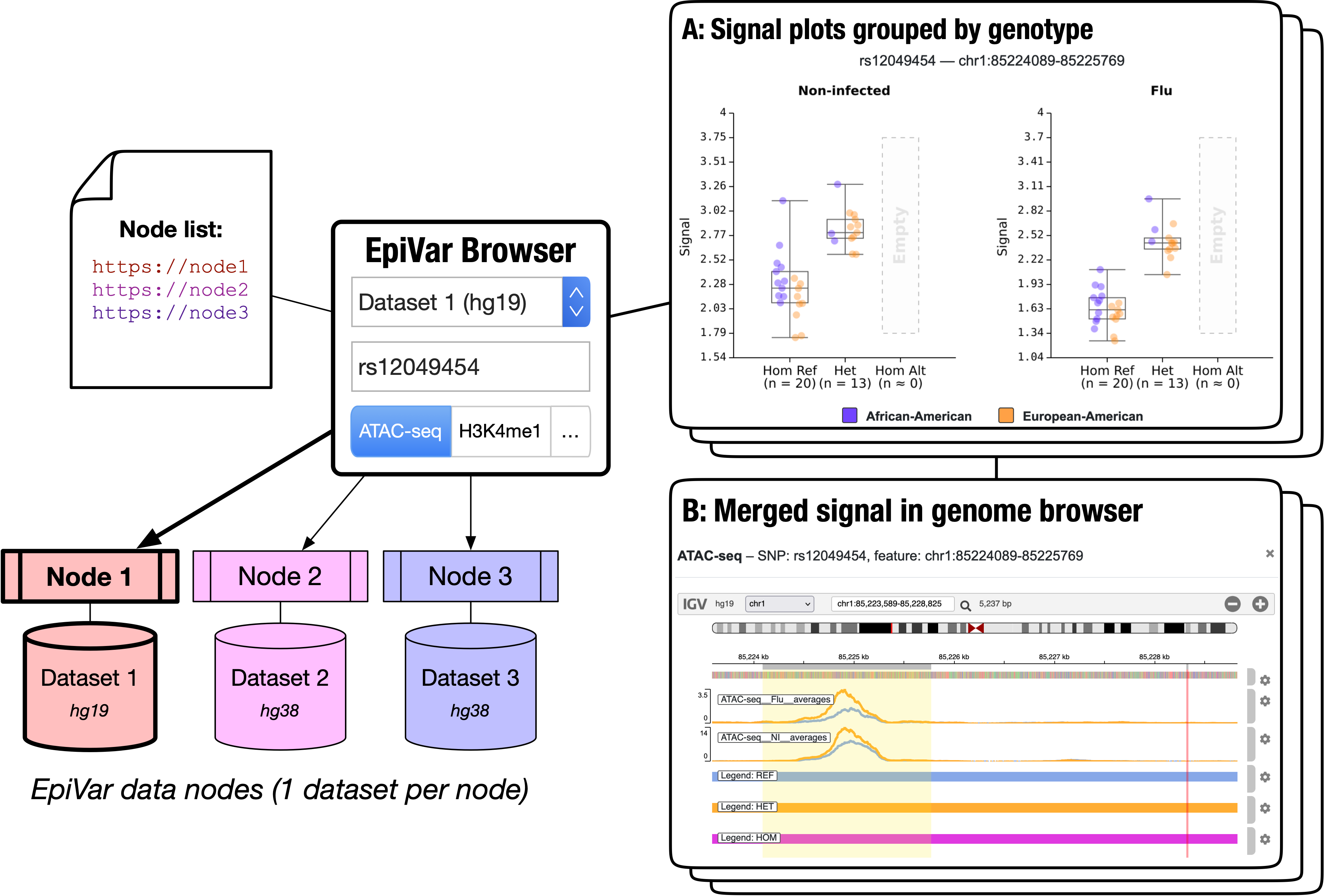 A workflow diagram of the EpiVar Browser, showing how the browser connects to multiple nodes.